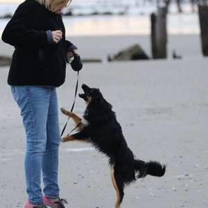 Meet your Posher, Mary-beth